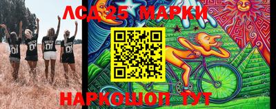стаф Донской