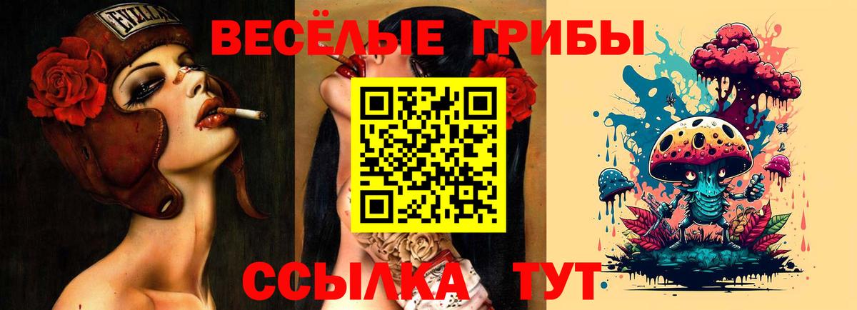 Галлюциногенные грибы GOLDEN TEACHER  Галлюциногенные грибы Psilocybe  Вход с VPN  Верхний Уфалей 